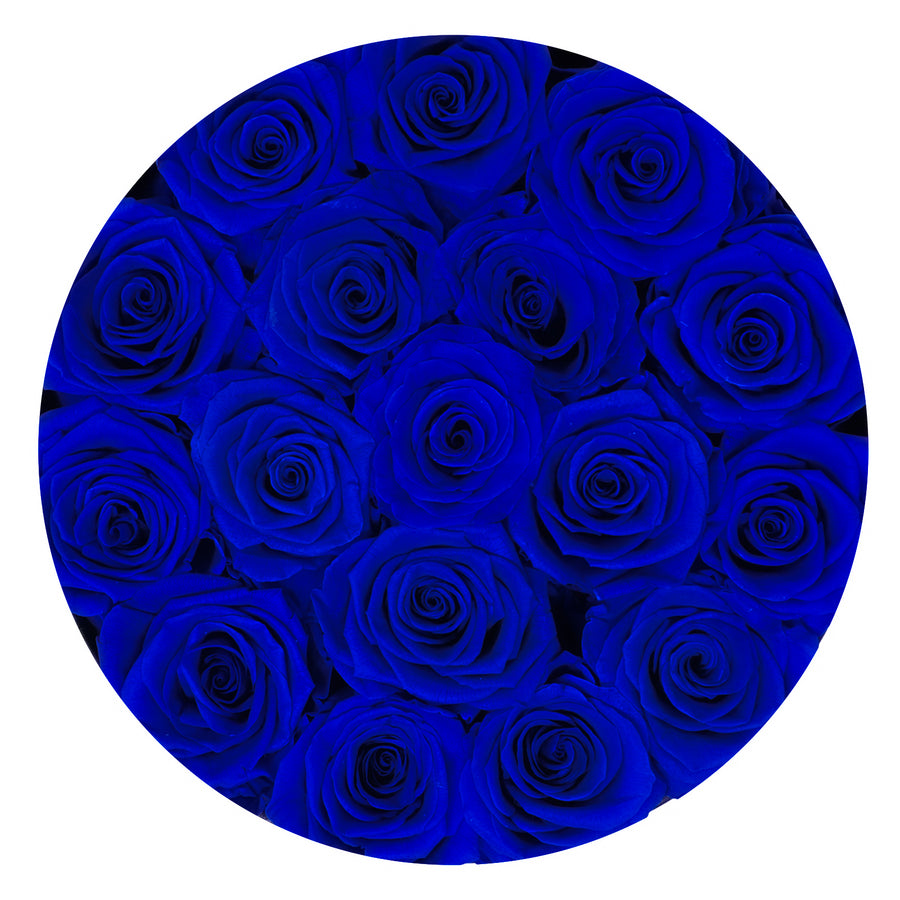 Classic Medium Black Box - Royal Blue Roses