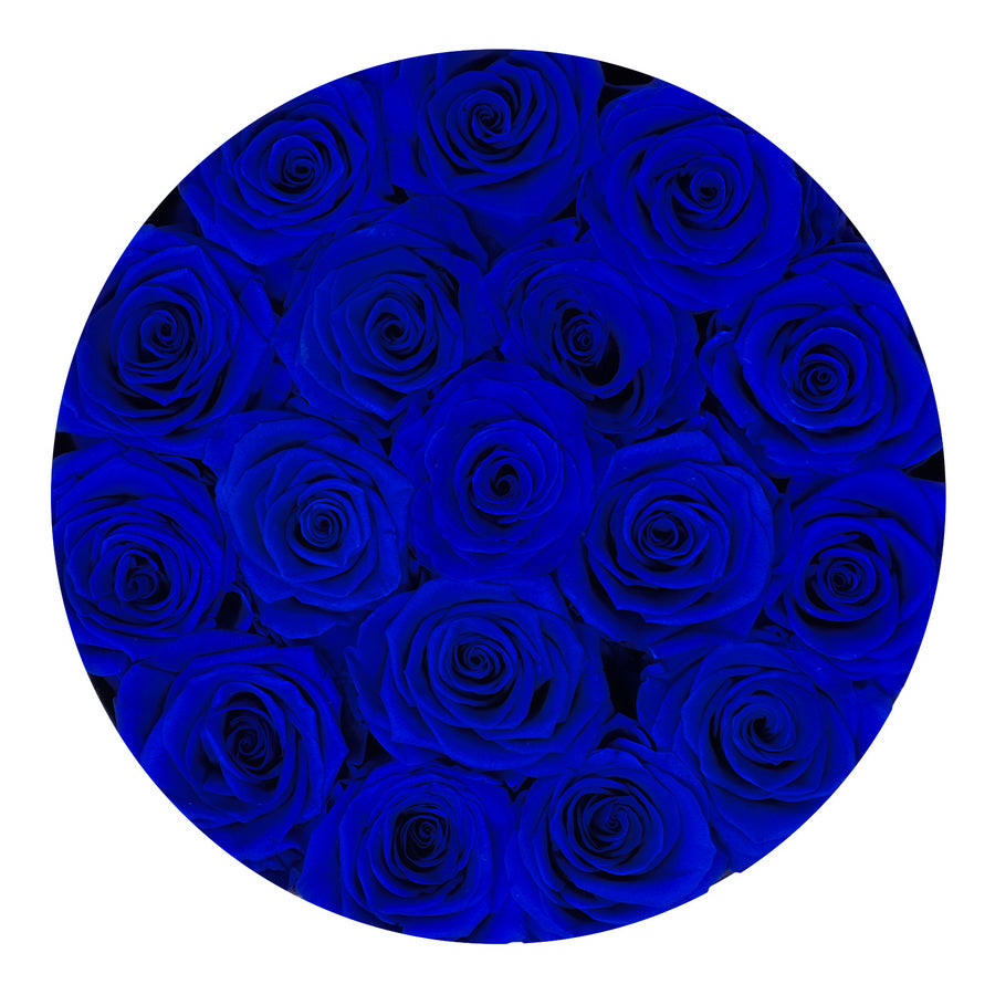 Classic Medium White Box - Royal Blue Roses