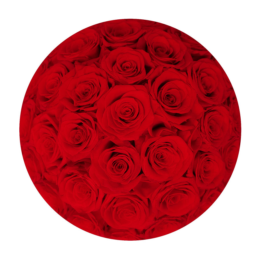 Angel Collection White Box - Red Roses