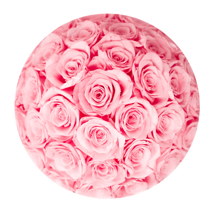 Angel Collection White Box - Pink Roses
