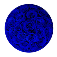 Angel Collection White Box - Royal Blue Roses
