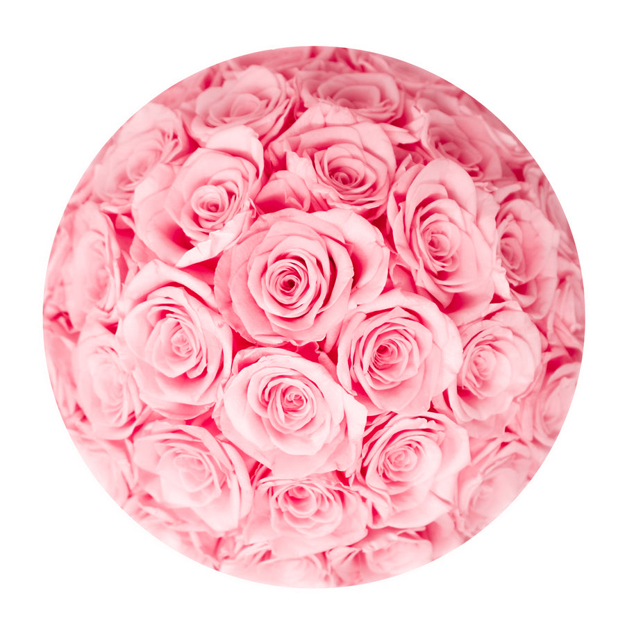 Angel Collection Black Box - Pink Roses