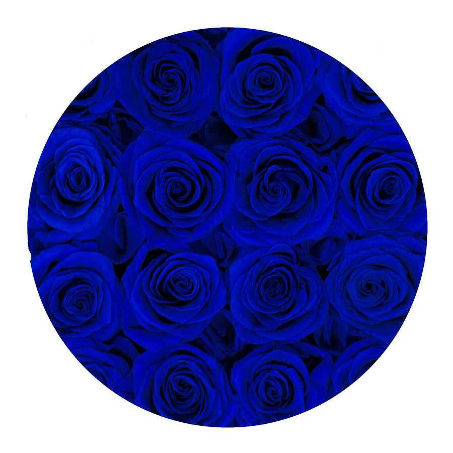 Heavenly Collection Black Box - Royal Blue Roses