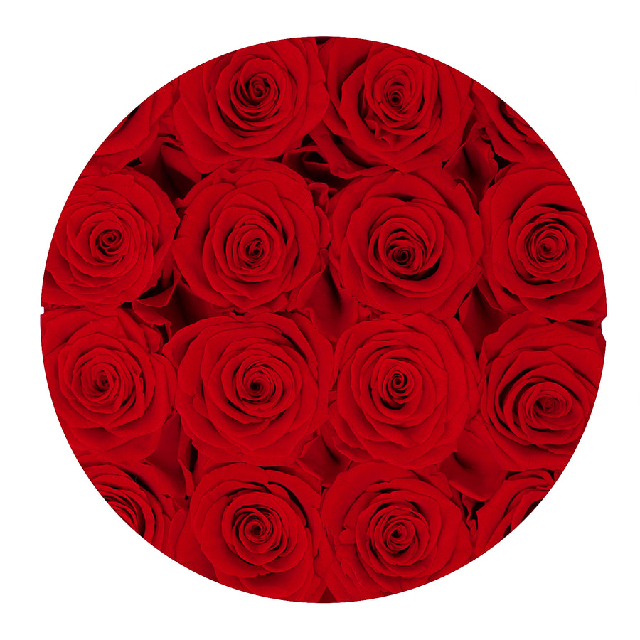 Forever Collection Black Box - Red Roses