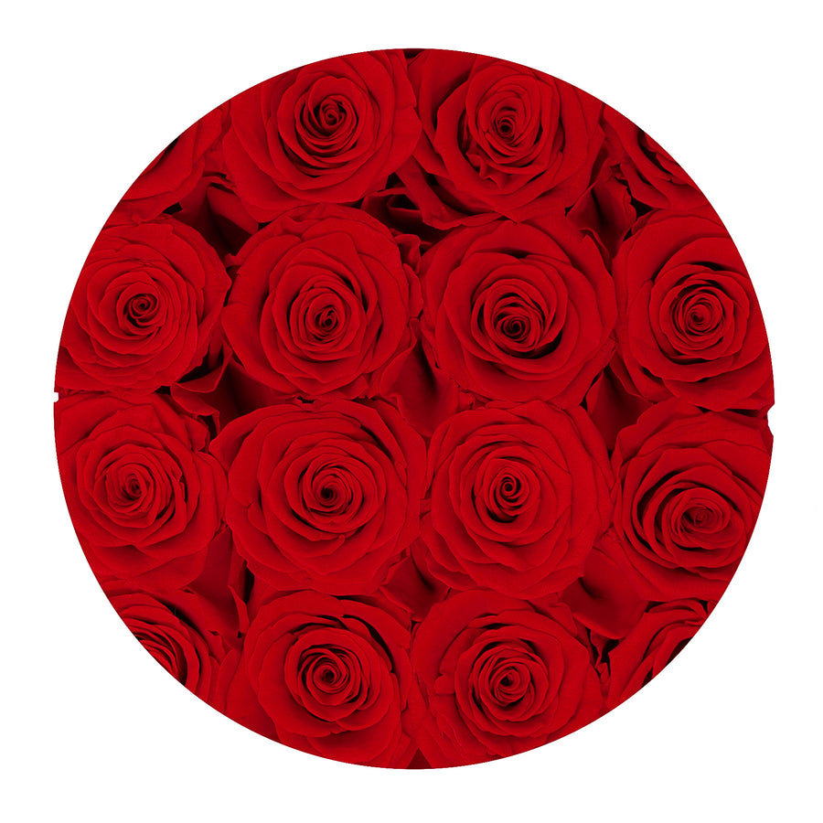 Forever Collection White Box - Red Roses