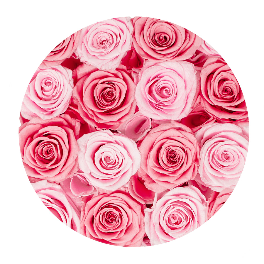 Forever Collection White Box - Mixed Pink Roses