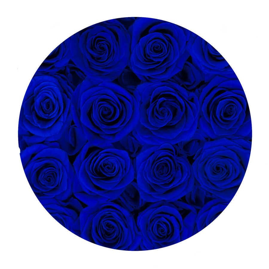 Forever Collection Black Box - Royal Blue Roses